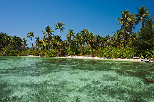 Karimunjawa National Park